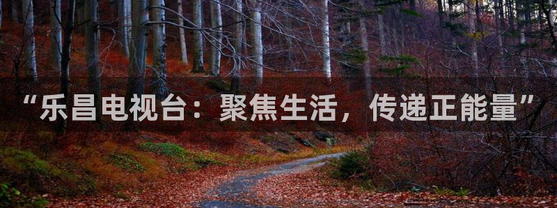 “乐昌电视台：聚焦生活，传递正能量”