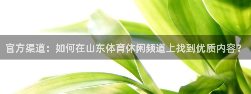 官方渠道：如何在山东体育休闲频道上找到优质内容？
