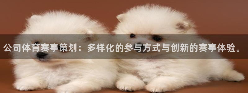 公司体育赛事策划：多样化的参与方式与创新的赛事体验。