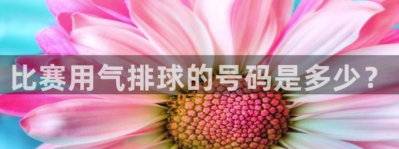 比赛用气排球的号码是多少？