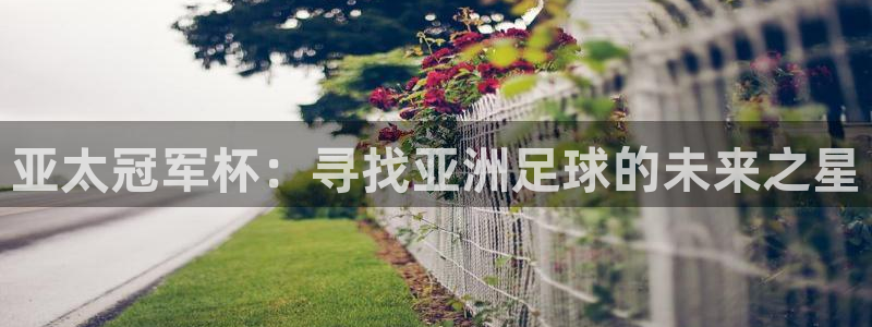 亚太冠军杯：寻找亚洲足球的未来之星