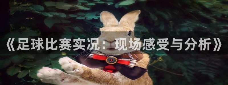 《足球比赛实况：现场感受与分析》