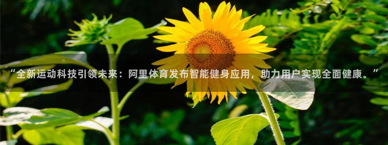 “全新运动科技引领未来：阿里体育发布智能健身应用，助力用户实现全面健康。”