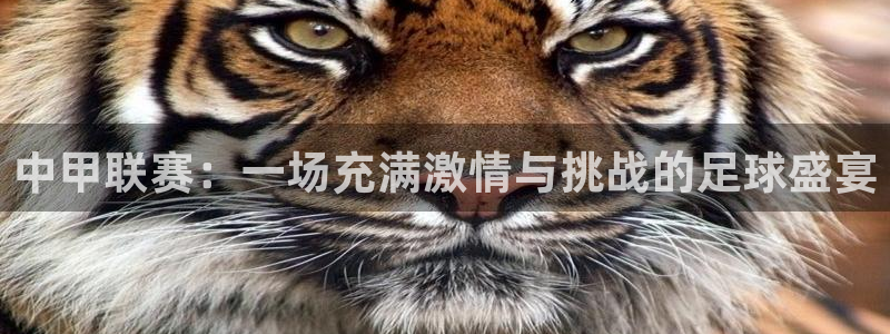 中甲联赛：一场充满激情与挑战的足球盛宴