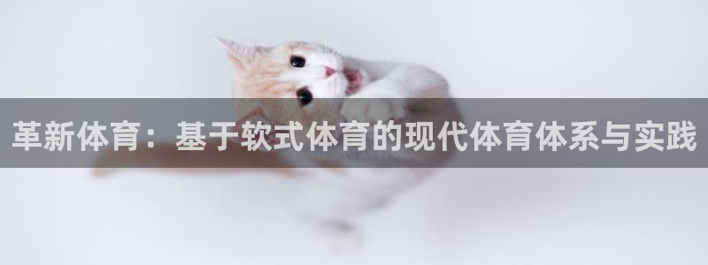 革新体育：基于软式体育的现代体育体系与实践