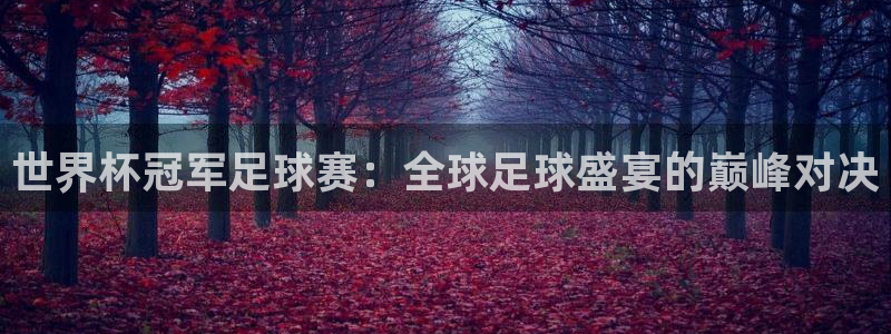 世界杯冠军足球赛：全球足球盛宴的巅峰对决