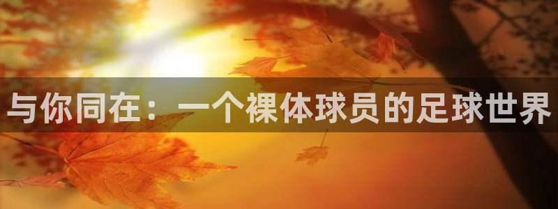 与你同在：一个裸体球员的足球世界