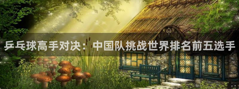 乒乓球高手对决：中国队挑战世界排名前五选手
