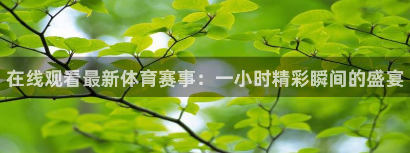 在线观看最新体育赛事：一小时精彩瞬间的盛宴