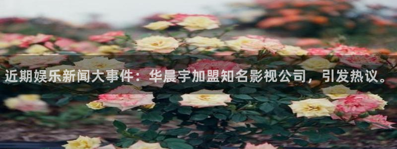 近期娱乐新闻大事件：华晨宇加盟知名影视公司，引发热议。