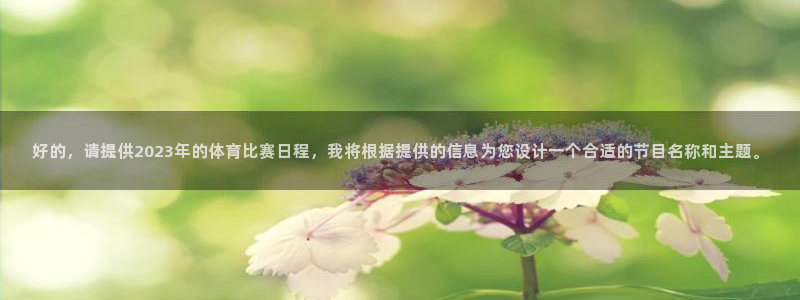 好的，请提供2023年的体育比赛日程，我将根据提供的信息为您设计一个合适的节目名称和主题。