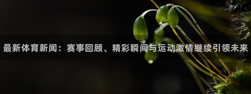 最新体育新闻：赛事回顾、精彩瞬间与运动激情继续引领未来