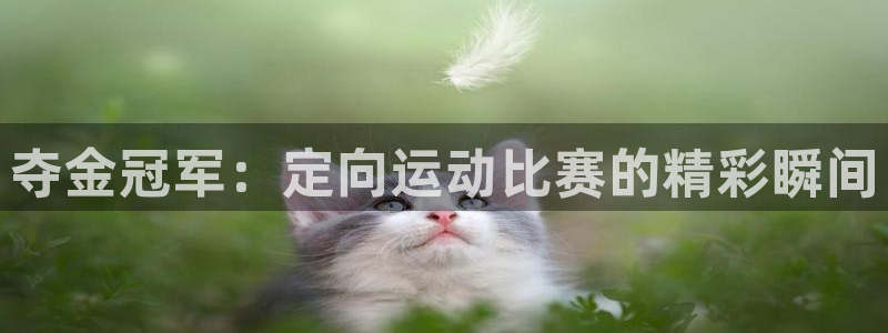夺金冠军：定向运动比赛的精彩瞬间