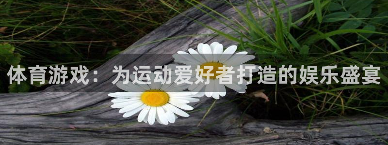 体育游戏：为运动爱好者打造的娱乐盛宴