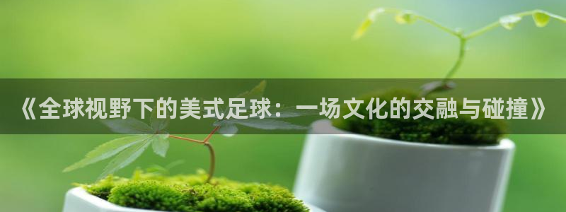 《全球视野下的美式足球：一场文化的交融与碰撞》